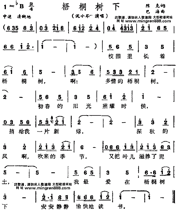 梧桐树下梧桐树下